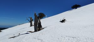 Outdoor First aid. Πρώτες βοήθειες στην ύπαιθρο